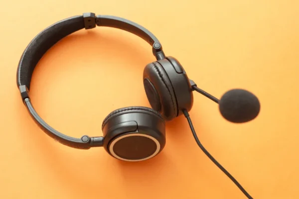 Headset With Mic